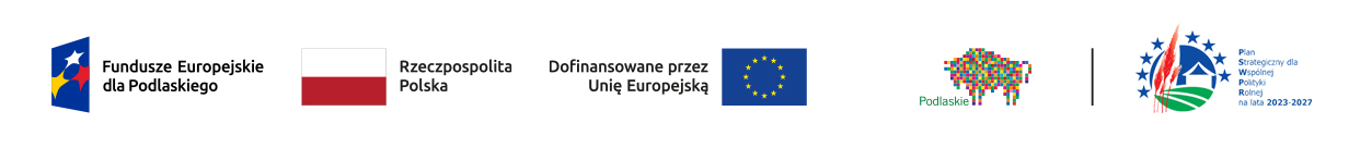 Program Unii Europejskiej